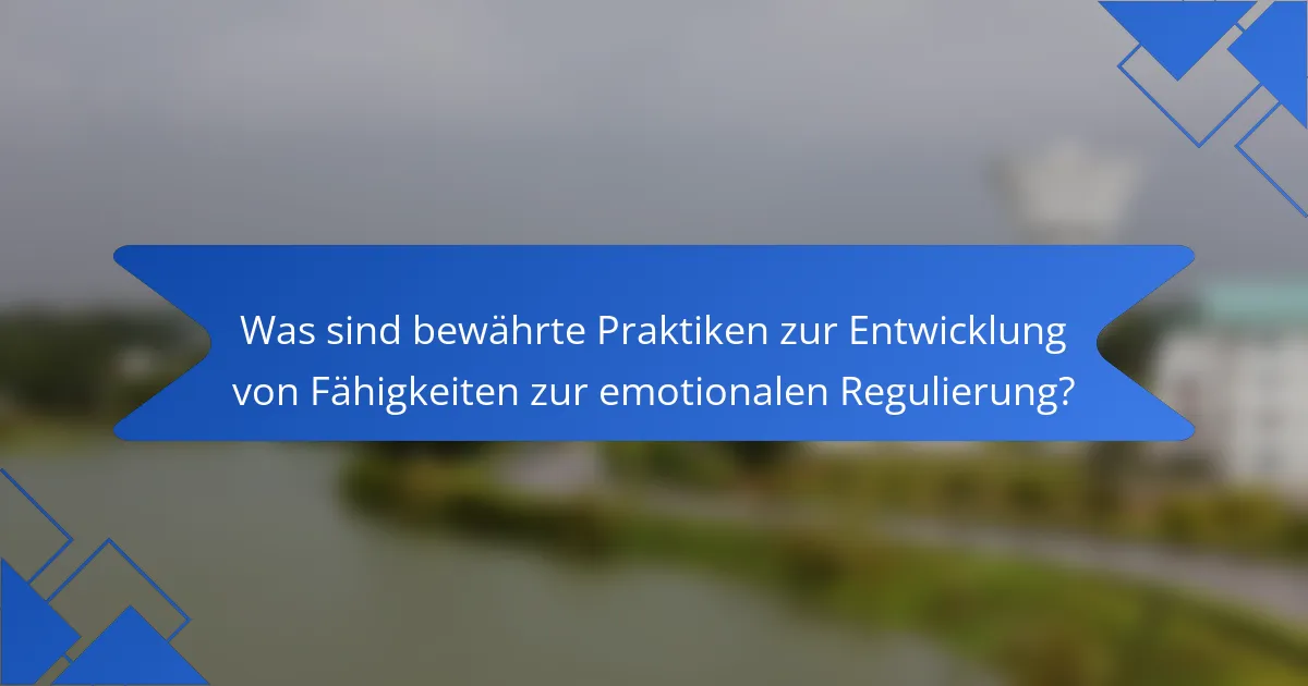 Was sind bewährte Praktiken zur Entwicklung von Fähigkeiten zur emotionalen Regulierung?
